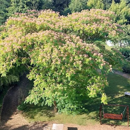 2 Dans Maison Bourgeoise Avec Piscine, Proche Et Roissy 3*